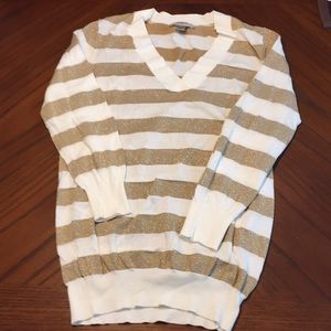 Ann Taylor Loft sweater